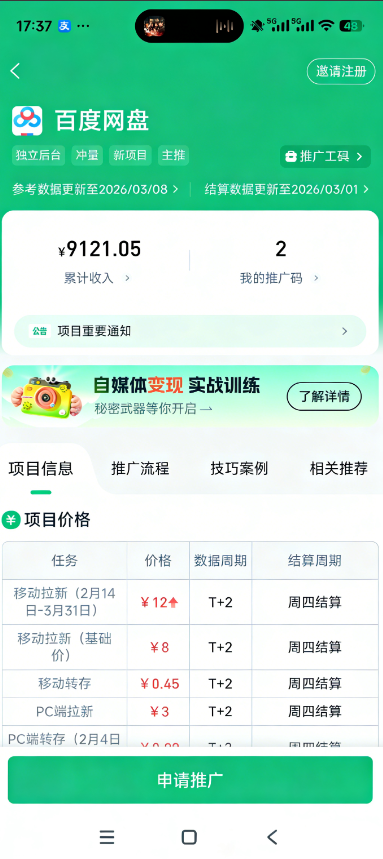 网盘拉新（一个可以自主决定的免费副业）新手必看易懂教程
